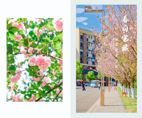 四川城市職業(yè)學(xué)院招生簡章2022及錄取分?jǐn)?shù)線一覽表